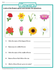 Answering Questions Based on Flowers