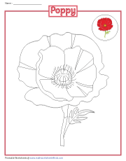 Coloring a Poppy