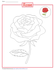 Coloring a Rose