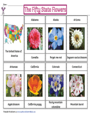 Fifty State Flowers Chart