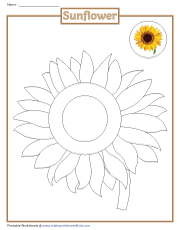 Coloring a Sunflower
