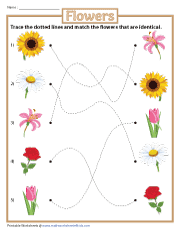 Tracing Lines and Matching Flowers