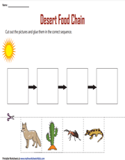 Desert Food chain | Cut and paste