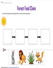 Forest Food Chain | Cut and paste