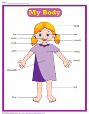 Parts of the body Chart | Basic