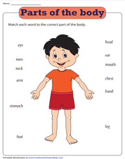 Match the words to the body part