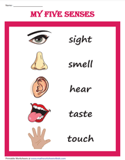 Five senses - Chart for kids