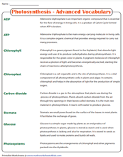 Photosynthesis | Advanced Vocabulary