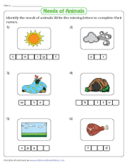 Needs of Plants and Animals Worksheets