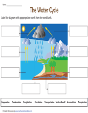 Label the water cycle diagram