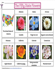 Flowers of the Fifty States | Flashcards