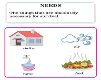 Needs and Wants | Chart