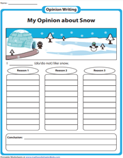 Writing Your Opinion about Snow