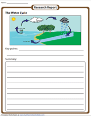 Water Cycle | Research Report Writing Prompt