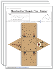 Foldable Net of a Triangular Prism