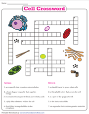 Plant and Animal Cell Crossword