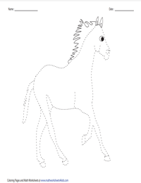 Tracing a Horse